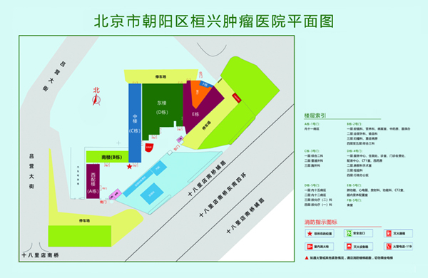 鸡巴插小穴黄色视频北京市朝阳区桓兴肿瘤医院平面图